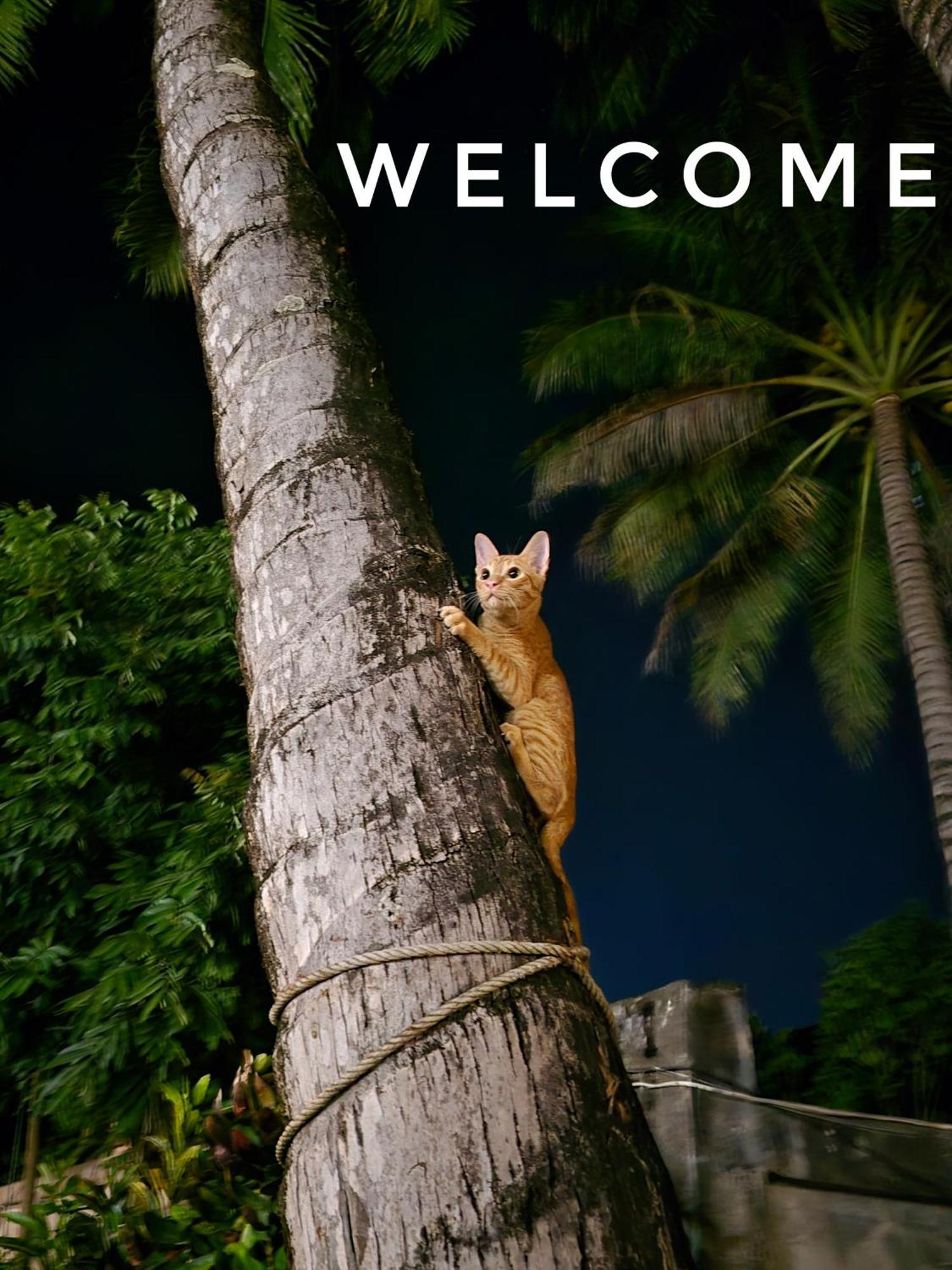 Saphaothong Guesthouse Vang Vieng Dış mekan fotoğraf